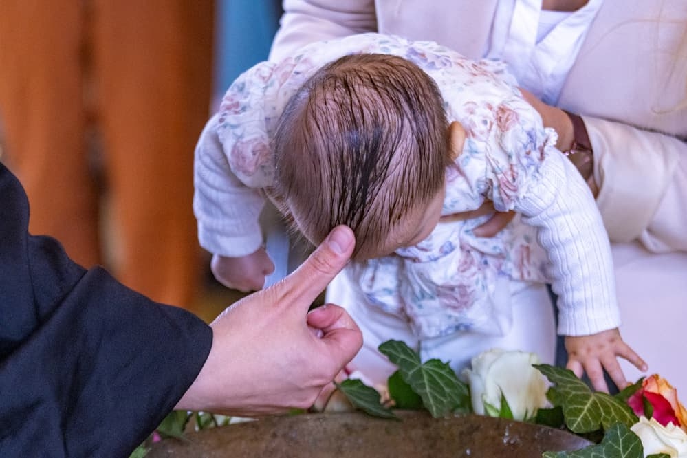 Guests raising glasses for a toast