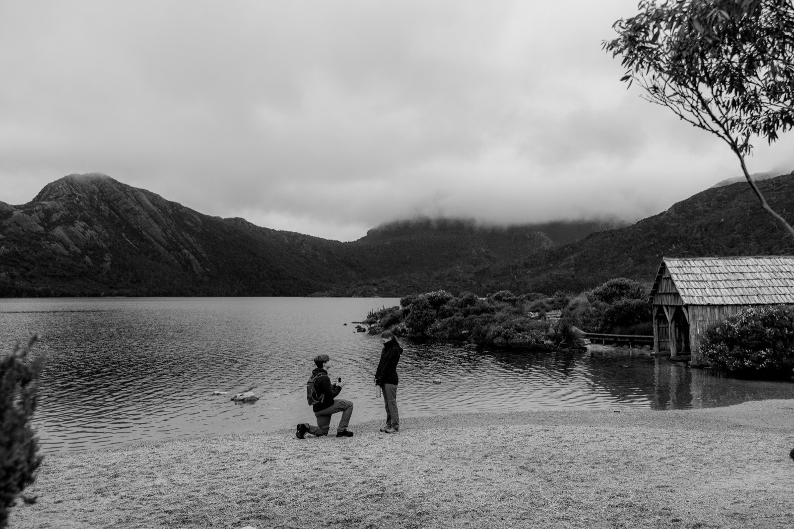 Surprise proposal on one knee at the shore of Dove Lake, Cradle Mountain, with the boatshed and cloud-covered peaks behind
